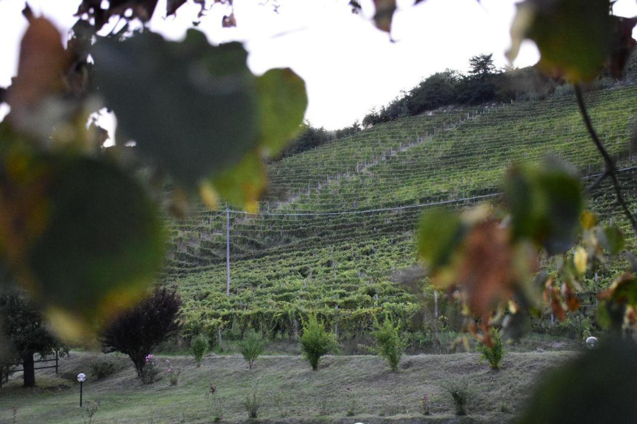 Agriturismo Cascina L'Arche 圣斯泰法诺贝尔博 外观 照片