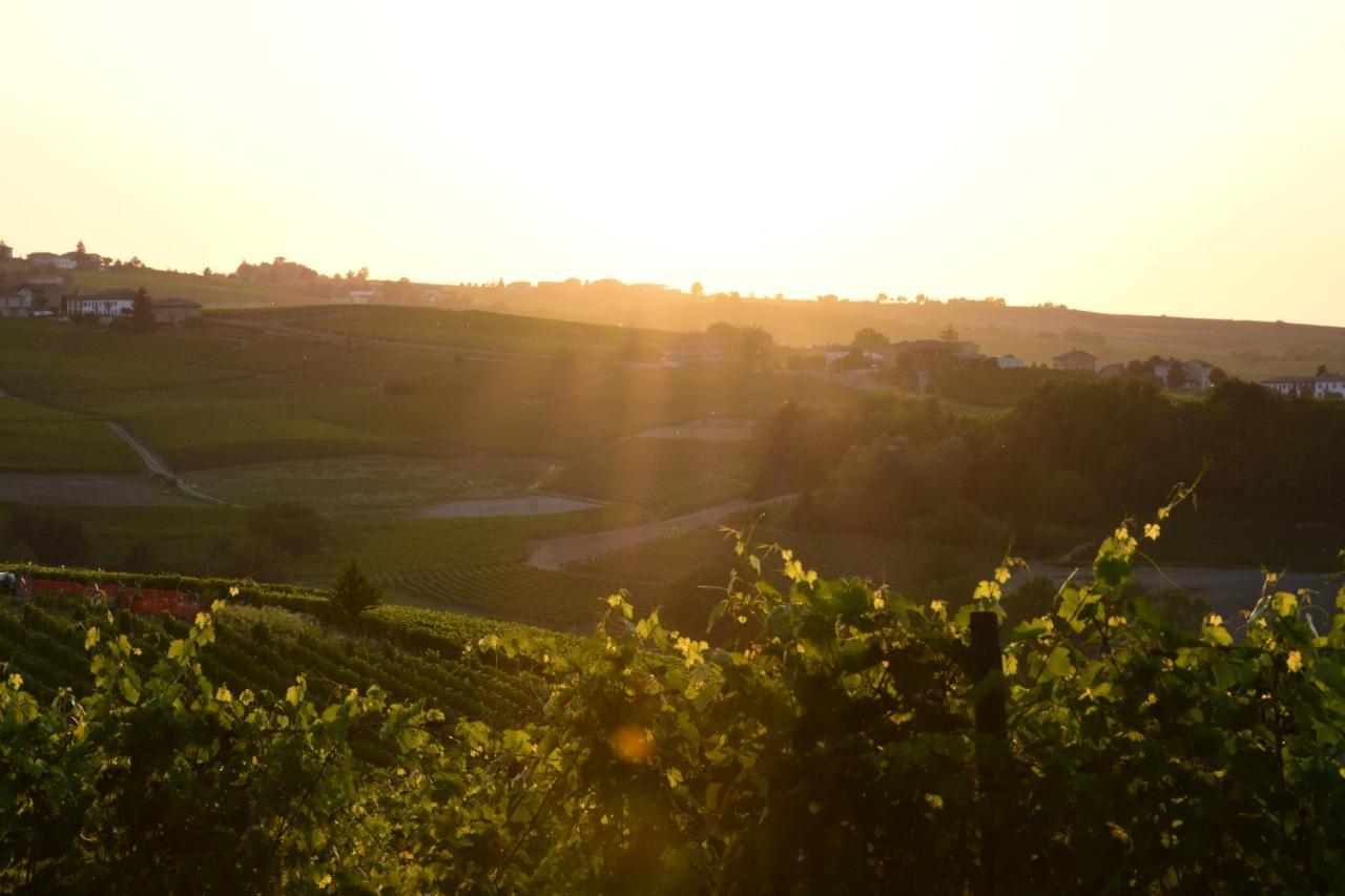 Agriturismo Cascina L'Arche 圣斯泰法诺贝尔博 外观 照片